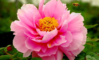 �������ǻ������޹�˾