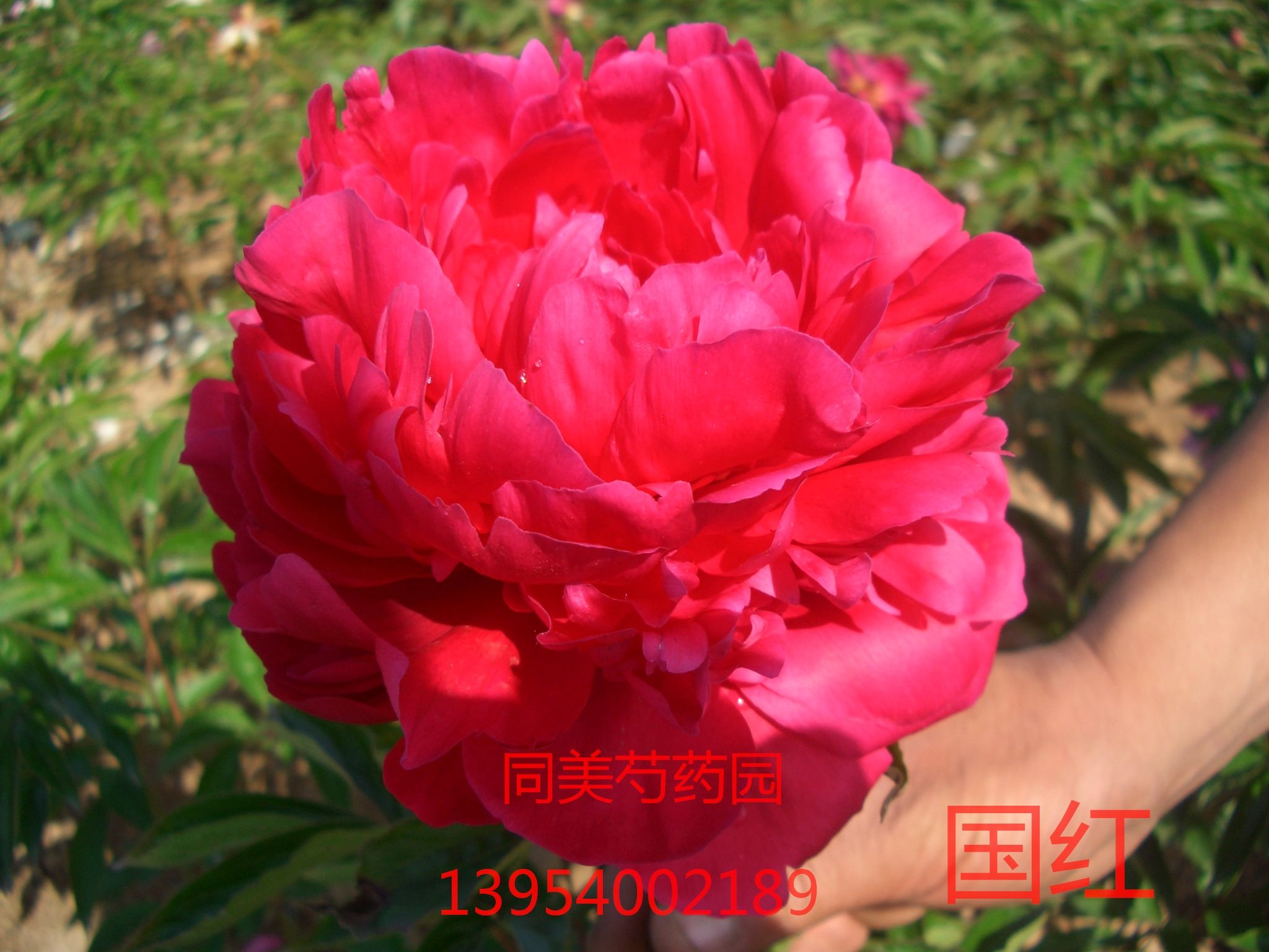 ����ĵ�����������