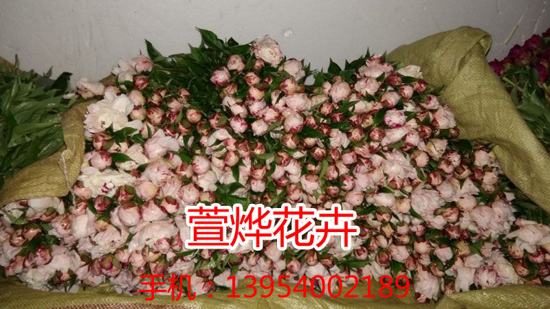 ��ҩ���л�1